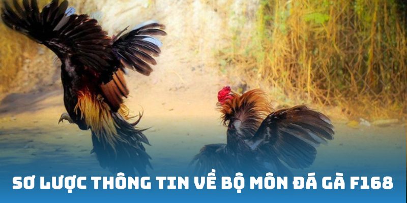 Sơ lược thông tin về bộ môn đá gà F168